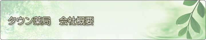 タウン薬局　会社概要